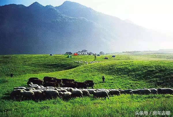 重庆晚上约会浪漫的地方,重庆打卡浪漫约会地
