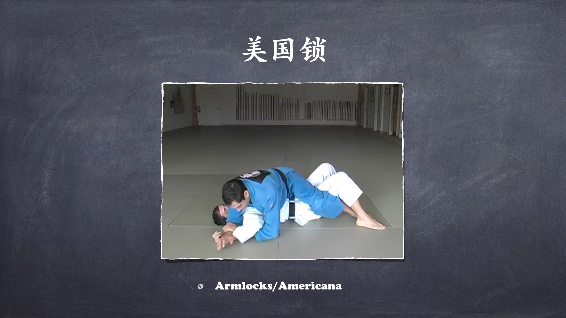 RoyDeans巴西柔术蓝带技术学习大纲