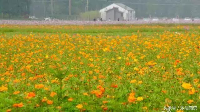 南京是一座很美的城市,南京最让人震撼的城市