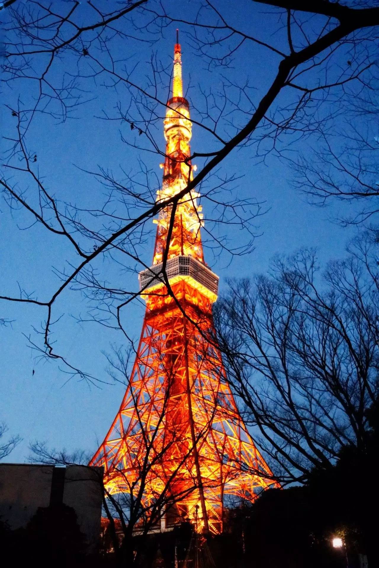 东京Tokyo丨如果你不爱她，请别招惹她