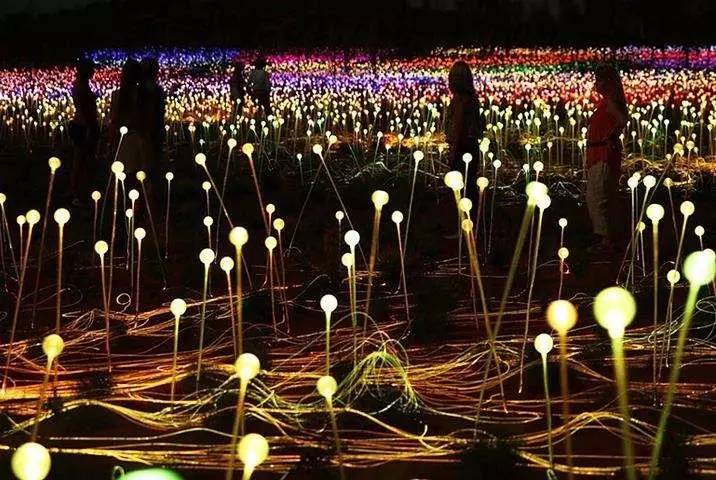 淘宝禁售app,淘宝禁售类目怎么规避