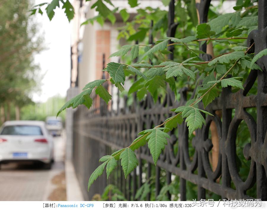 松下gf9微型单电相机,松下gf9相机怎么样