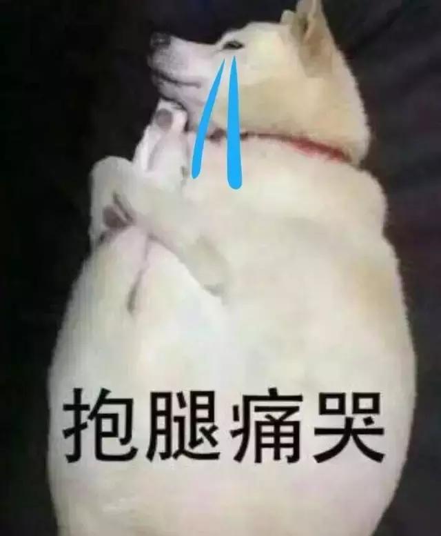 鹿晗忍不住对热巴放大招，逼问热巴“初吻”给了谁？！