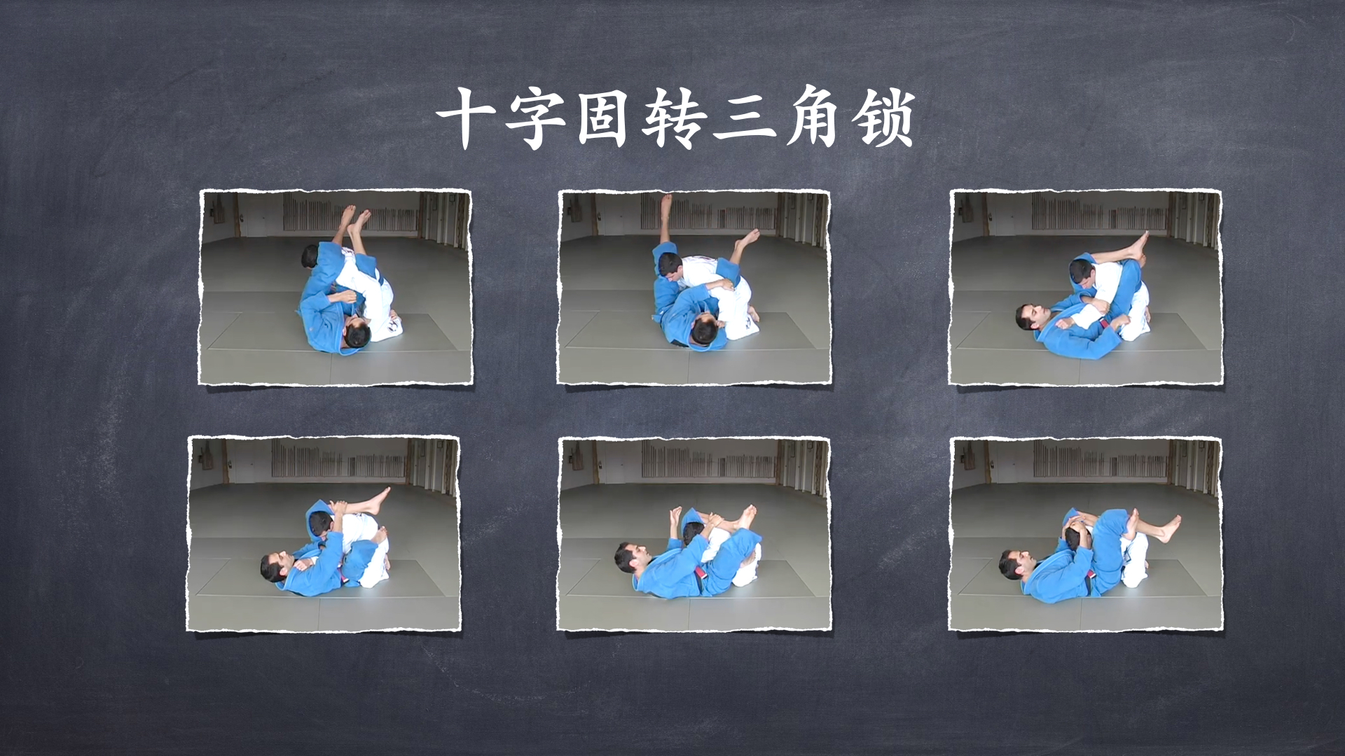 RoyDeans巴西柔术蓝带技术学习大纲