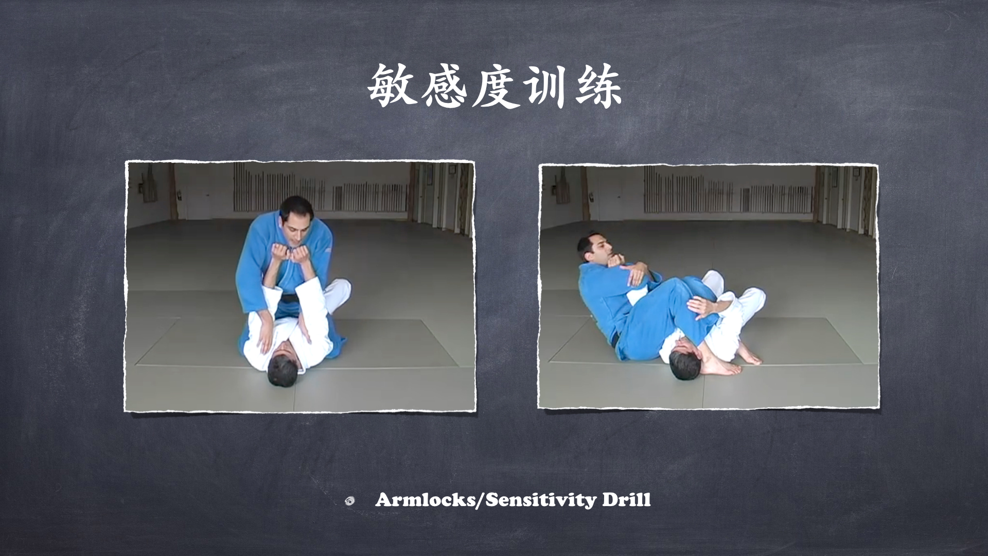 RoyDeans巴西柔术蓝带技术学习大纲