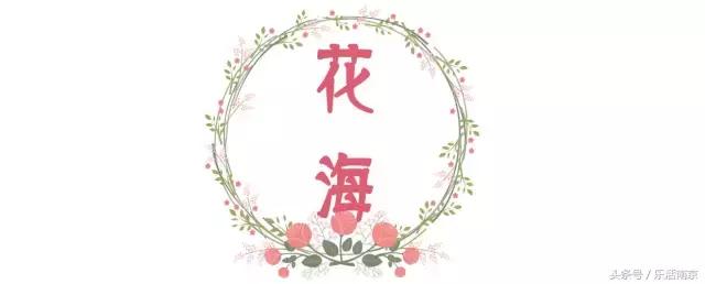 南京是一座很美的城市,南京最让人震撼的城市