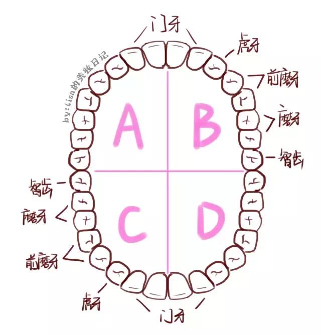 拥有一个好牙,拥有一口好的牙齿很重要