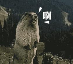 日本女记者品尝即将失传的屎酒！到最后还是吐了！