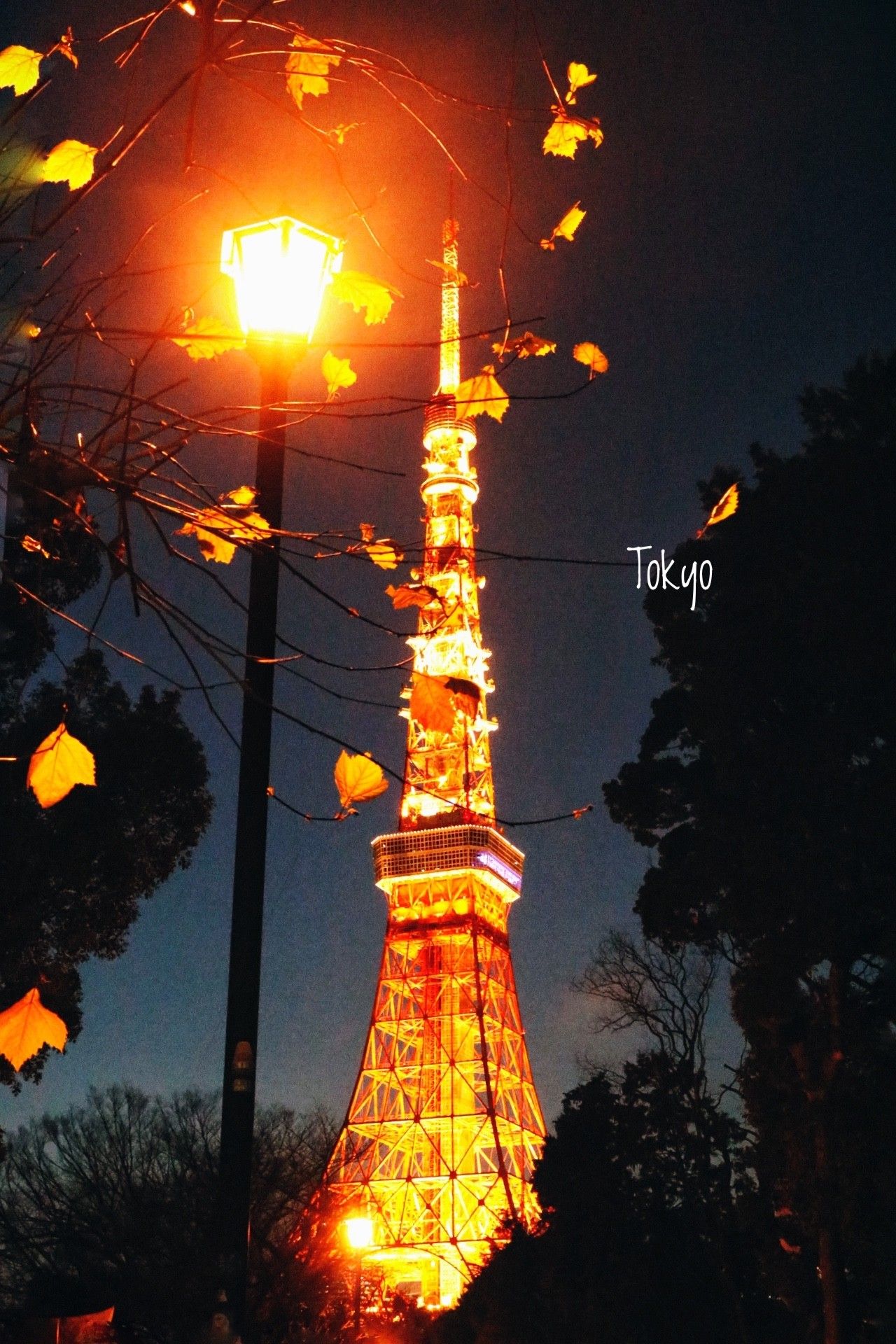 东京Tokyo丨如果你不爱她，请别招惹她