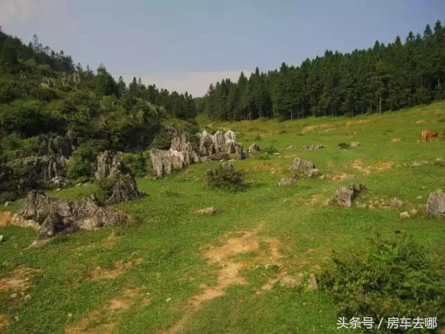 重庆晚上约会浪漫的地方,重庆打卡浪漫约会地