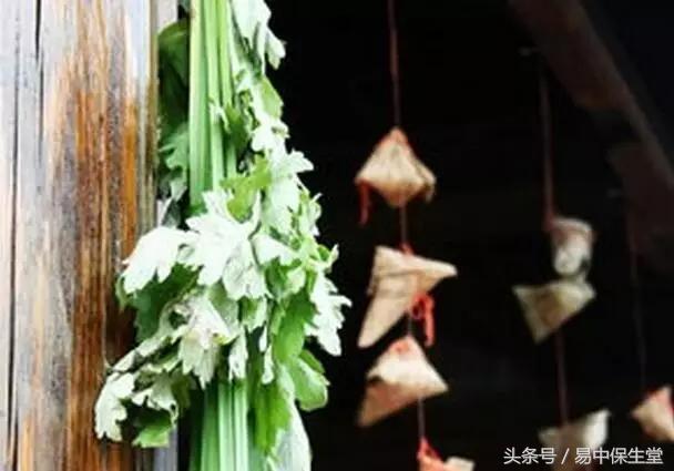 端午的九毒日是什么,端午九毒日一年中最佳的排毒时期