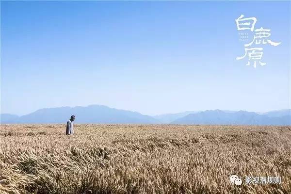 9.0的「白鹿原」拼不过5.2的「欢乐颂」很正常