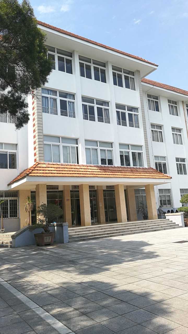 Saynoto团队游，第一次去厦门之我见