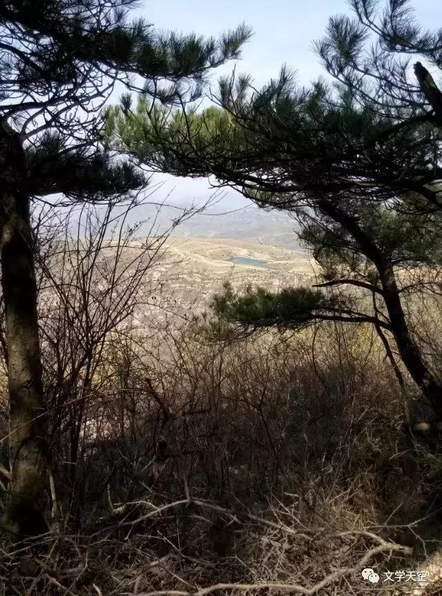 陈玲玲创作的原声,陈玲玲创作