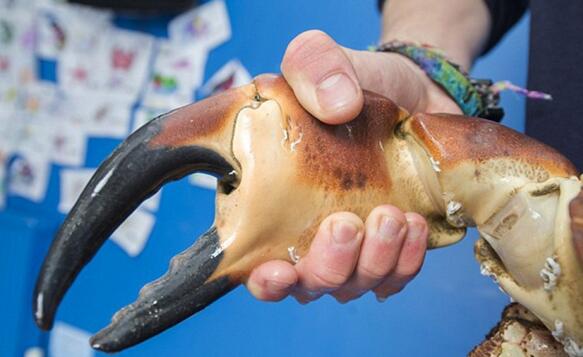 新加坡海滩日光浴,新加坡海边晒太阳