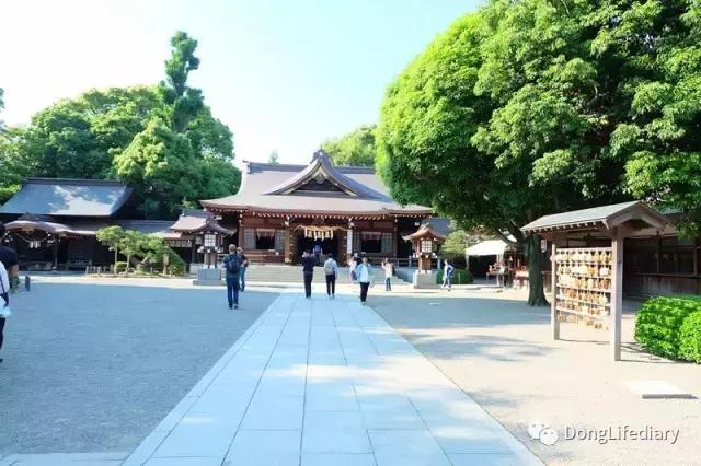 去日本北九州好吗,北九州看樱花