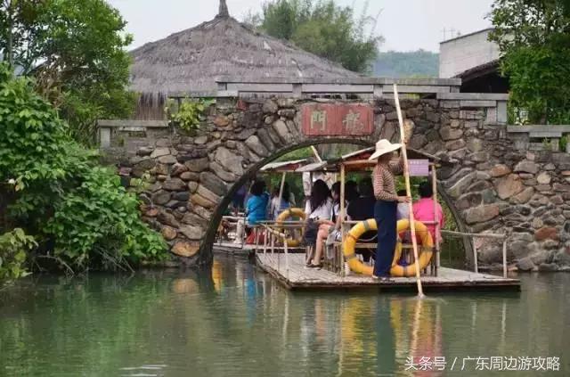 广东普罗旺斯花海,普罗旺斯的薰衣草紫色花海