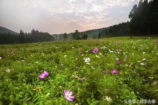 重庆晚上约会浪漫的地方,重庆打卡浪漫约会地
