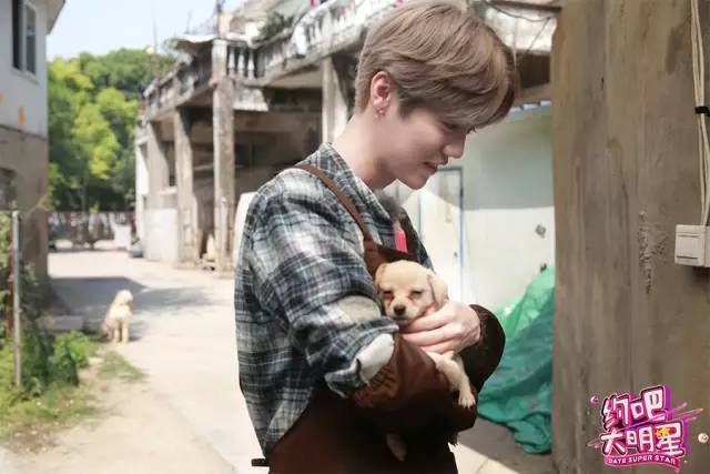 李晨和鹿晗亲自动手收拾狗狗窝,鹿晗和李晨遛狗