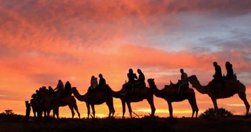 淘宝禁售app,淘宝禁售类目怎么规避