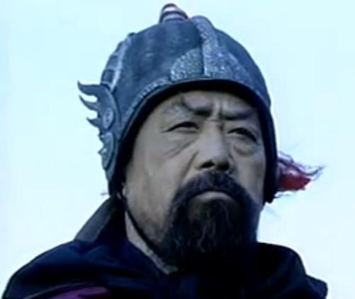 岳飞知道岳云被杀吗,为什么有人说岳云是岳飞的养子