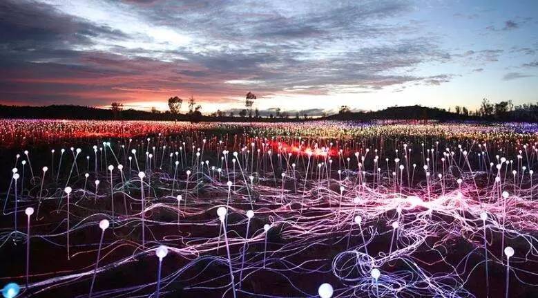 淘宝禁售app,淘宝禁售类目怎么规避