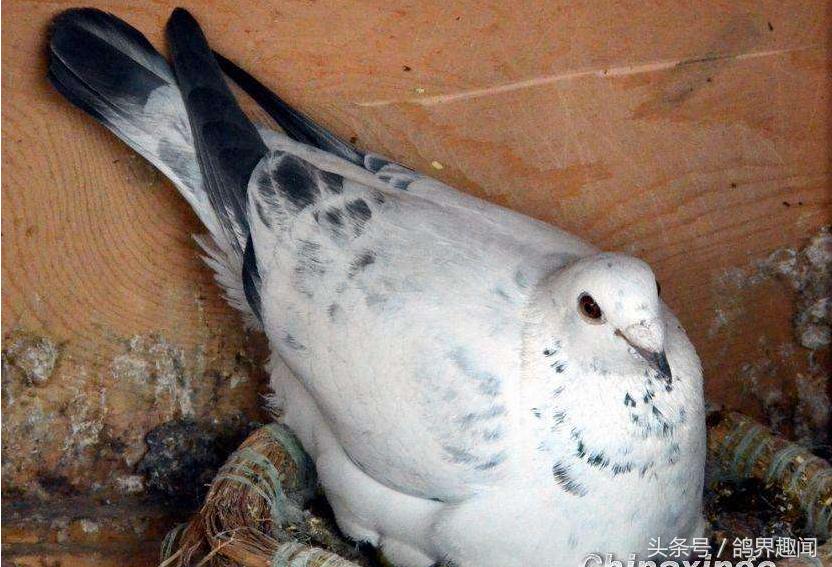 涨知识和方法,涨知识的秘诀