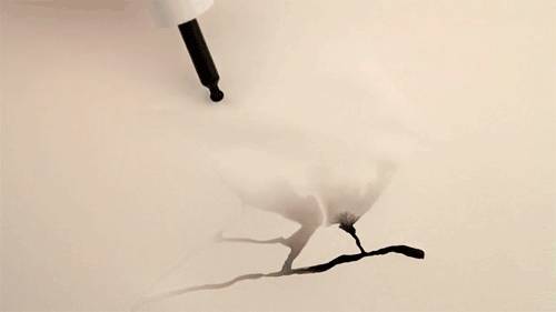 零基础用什么样的画笔,画笔入门基本知识