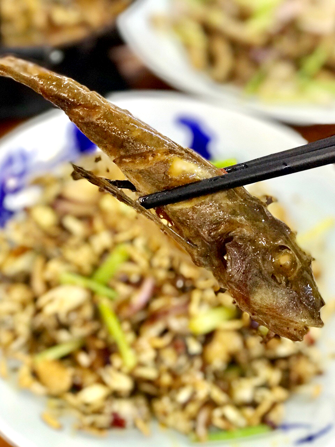 东港海鲜之旅大黄蚬子,东港小海鲜推荐