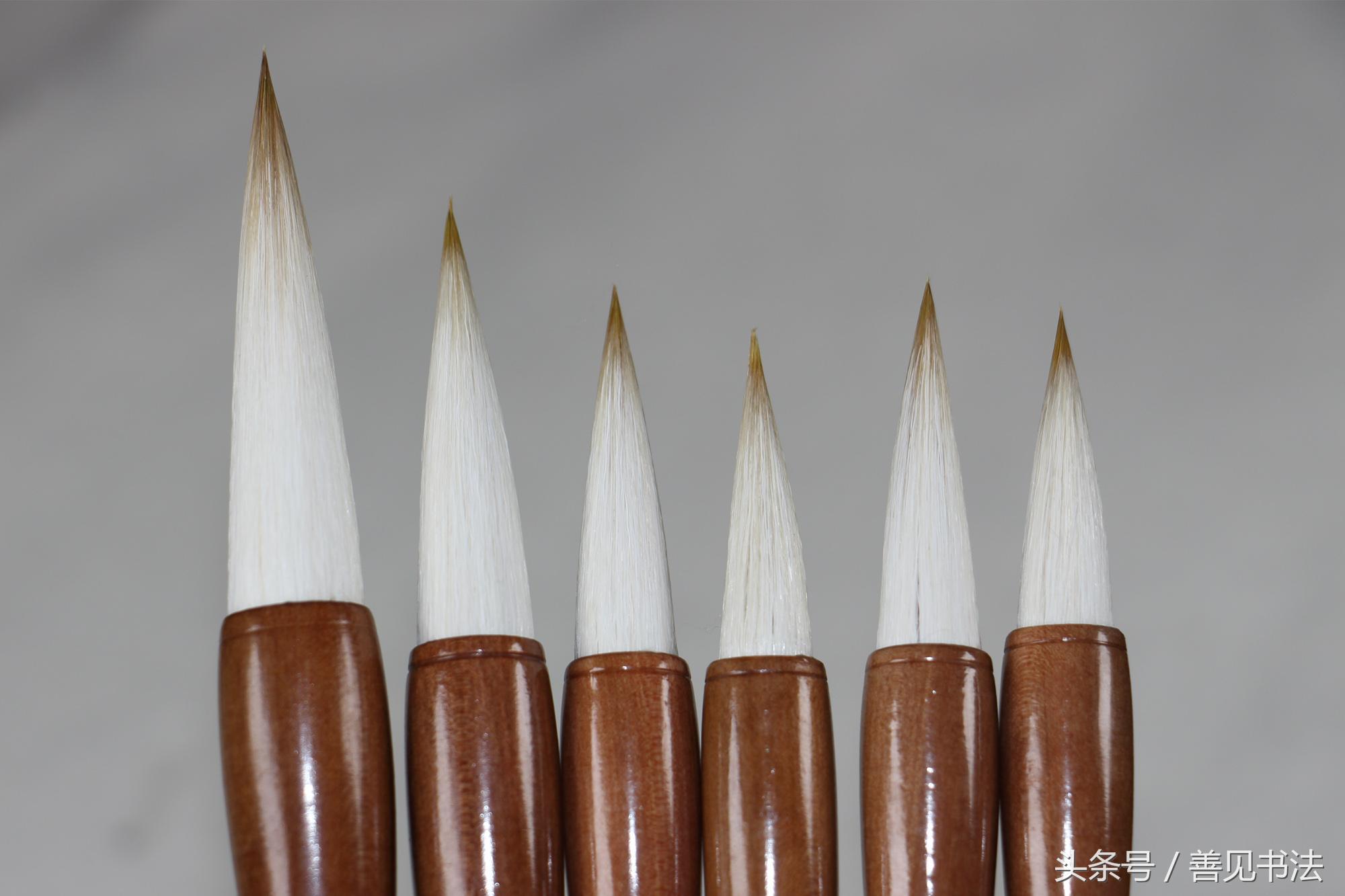 毛笔的种类及特点,毛笔一共有多少种书体
