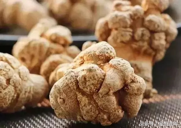 大家都在传，三七对脂肪肝的防治作用特别好？