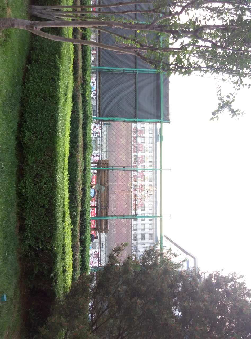 斗志全文,吴悠日落东单集锦