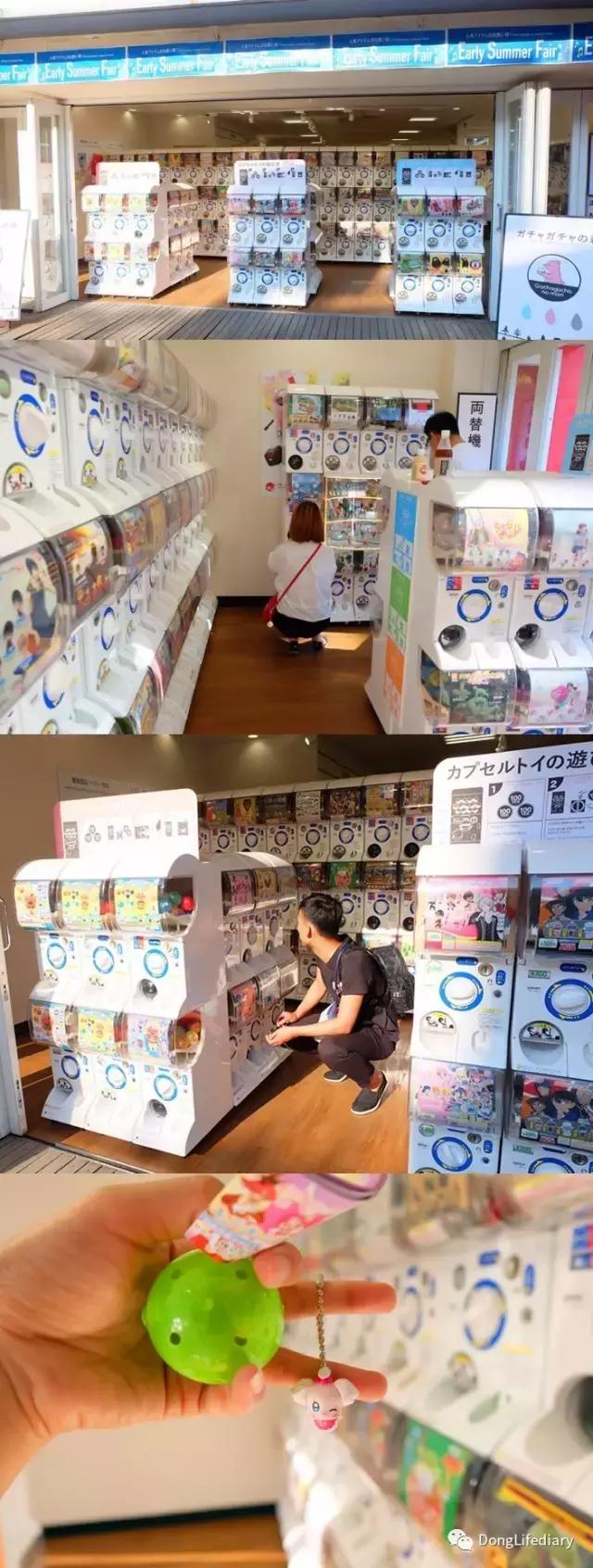 去日本北九州好吗,北九州看樱花