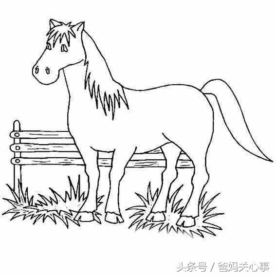 简笔画人物入门全身,简笔画之人物