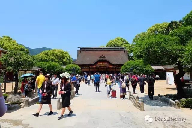 去日本北九州好吗,北九州看樱花