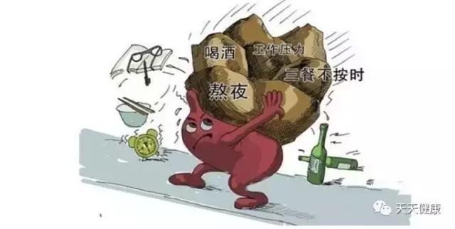 胃癌切除后饮食食谱大全,胃癌腹水饮食应关注什么