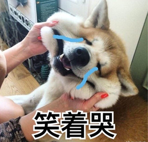 紫藤花开的季节去看锦鲤成了精，据说转发会有好运