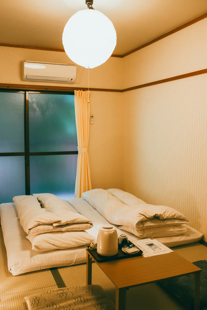 紫藤花开的季节去看锦鲤成了精，据说转发会有好运