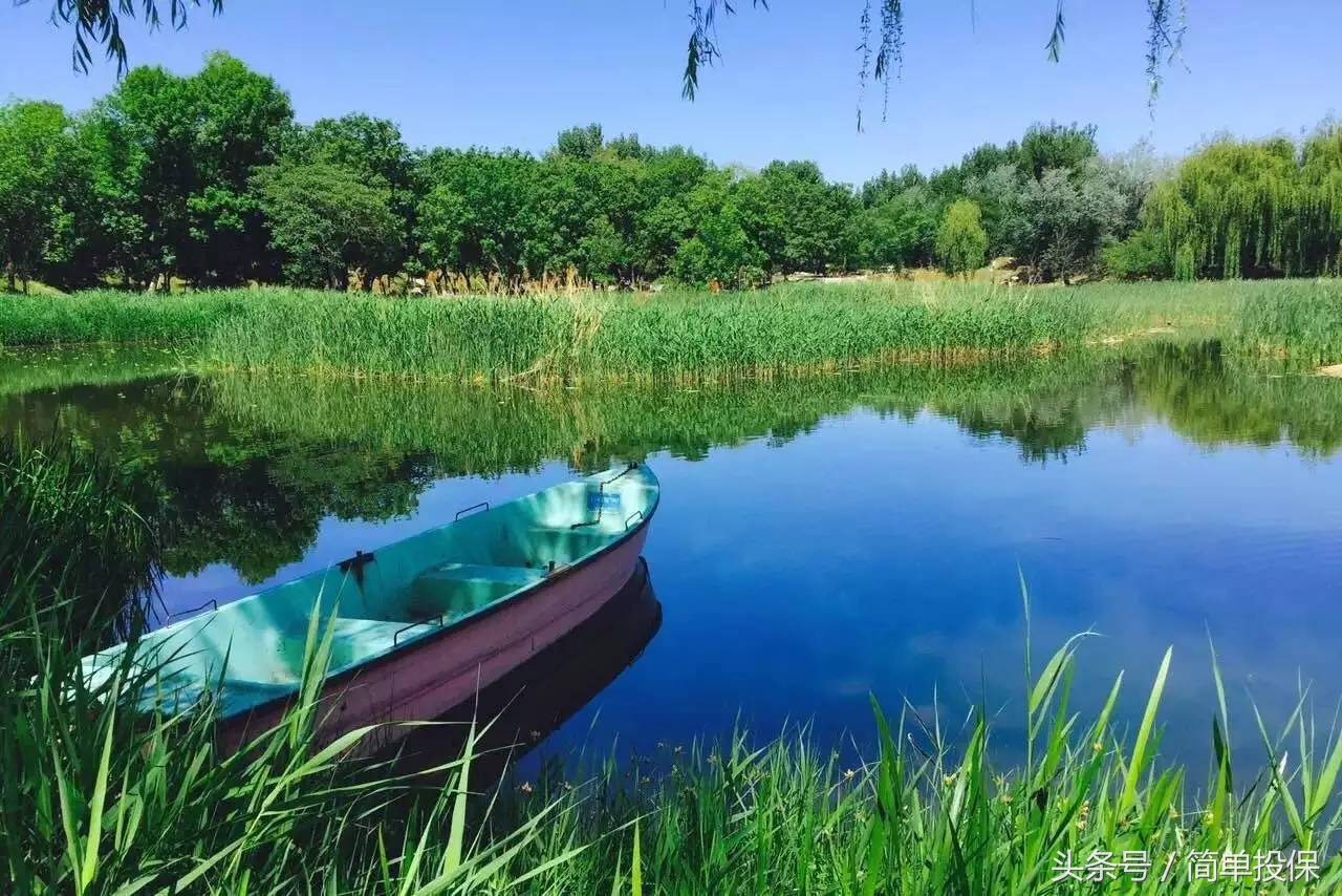 平安最早的万能险,平安万能险值得买吗