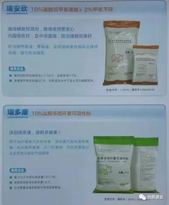 “瑞多康”+“瑞安欣”双剑合一：猪场扫除衣原体和弓形体的法宝