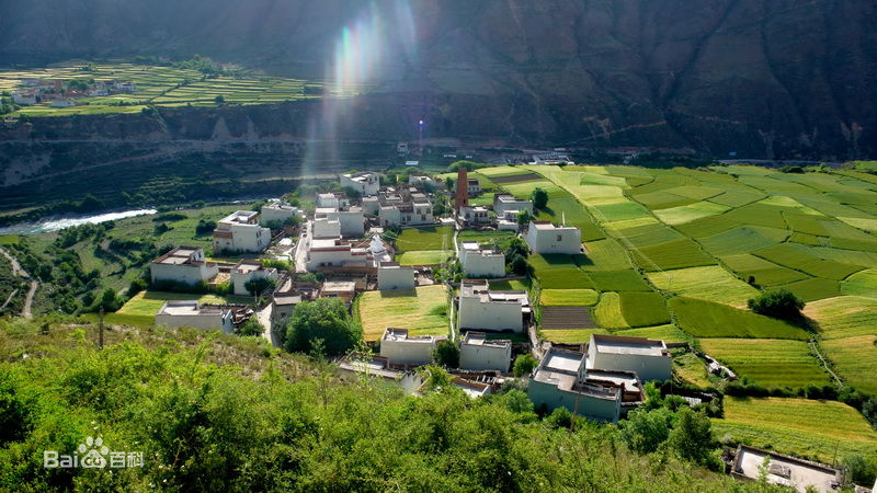 上海文玩凤眼菩提,凤眼菩提子文玩