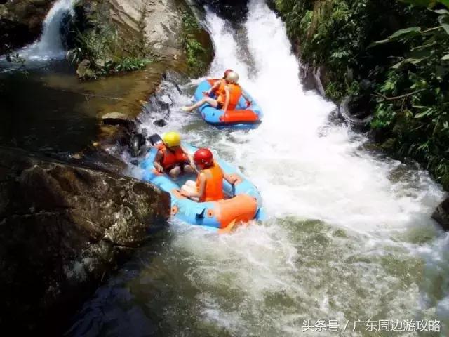 广东普罗旺斯花海,普罗旺斯的薰衣草紫色花海
