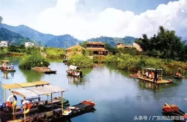 广东普罗旺斯花海,普罗旺斯的薰衣草紫色花海