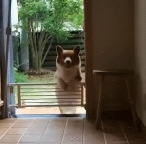 你知道我练习了多少次，才等来这精准一刻