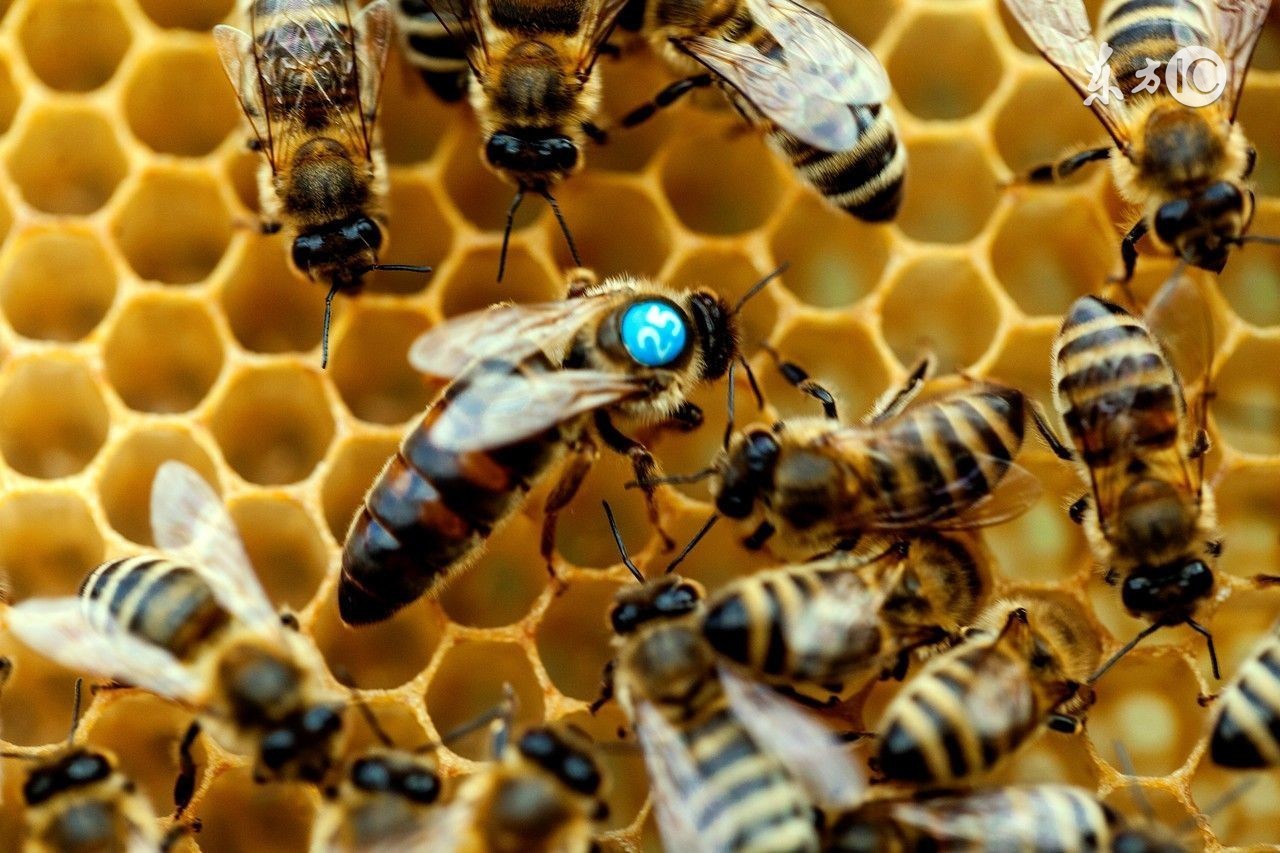 食物密码一生的密码,饮食密码