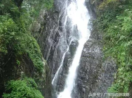 广东普罗旺斯花海,普罗旺斯的薰衣草紫色花海