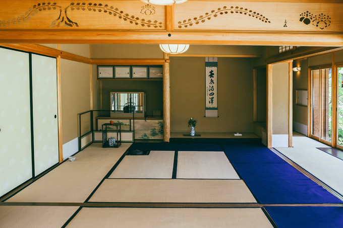 紫藤花开的季节去看锦鲤成了精，据说转发会有好运