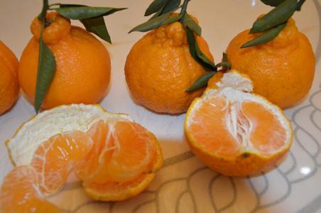 含维生素b6维生素b12的食物和水果,富含维生素e的十大水果