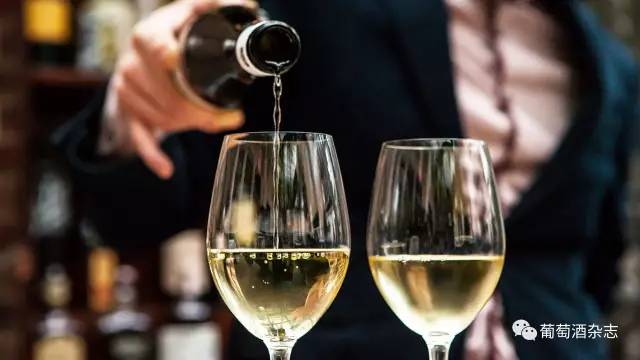 哪款雷司令最好,新手买哪款雷司令