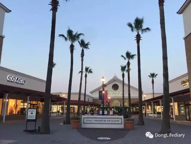 去日本北九州好吗,北九州看樱花